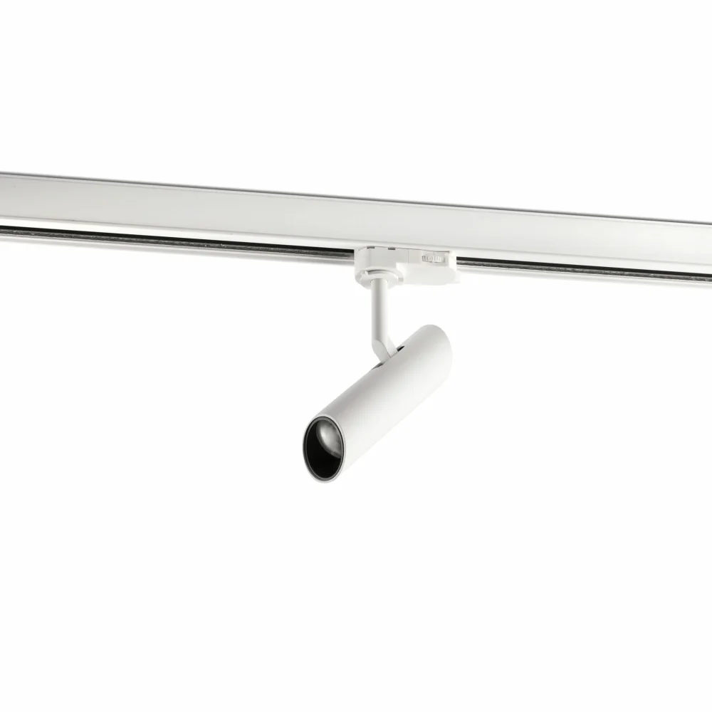 Carril DALI 2